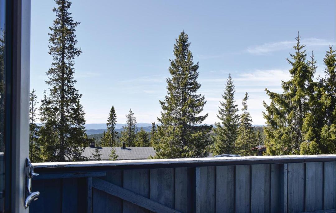 Photo of Others in Sjusjoen