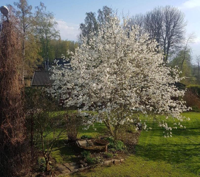 Photo of Outdoor in Broddetorp