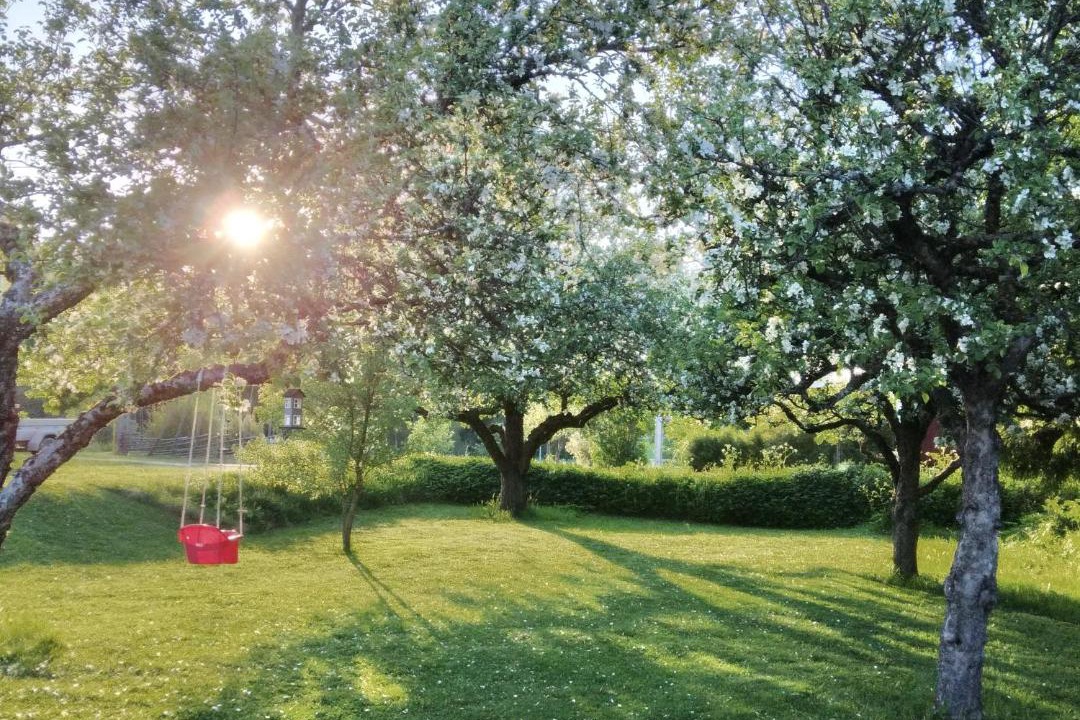 Photo of Outdoor in Ramsberg