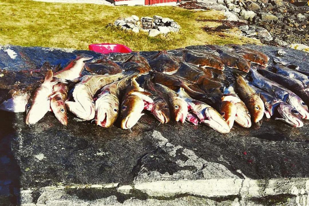 Photo of Others in Volda