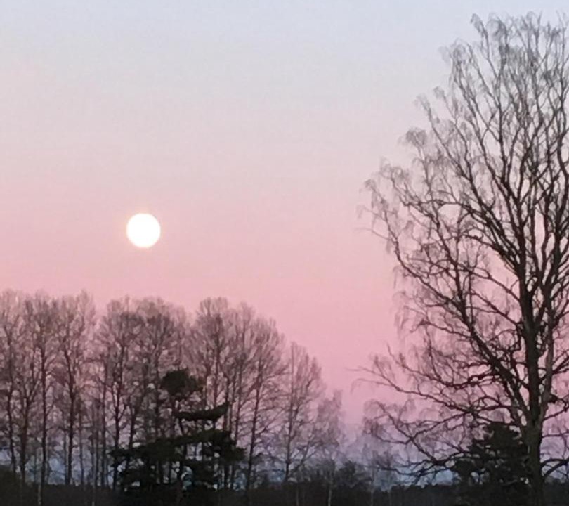 Photo of Outdoor in Hallekis