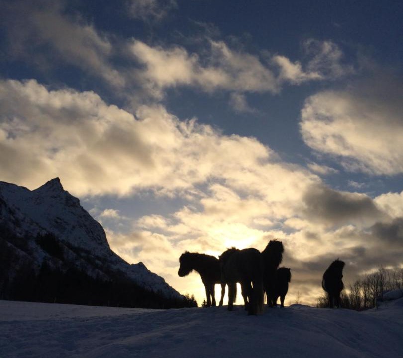 Photo of Others in Valberg