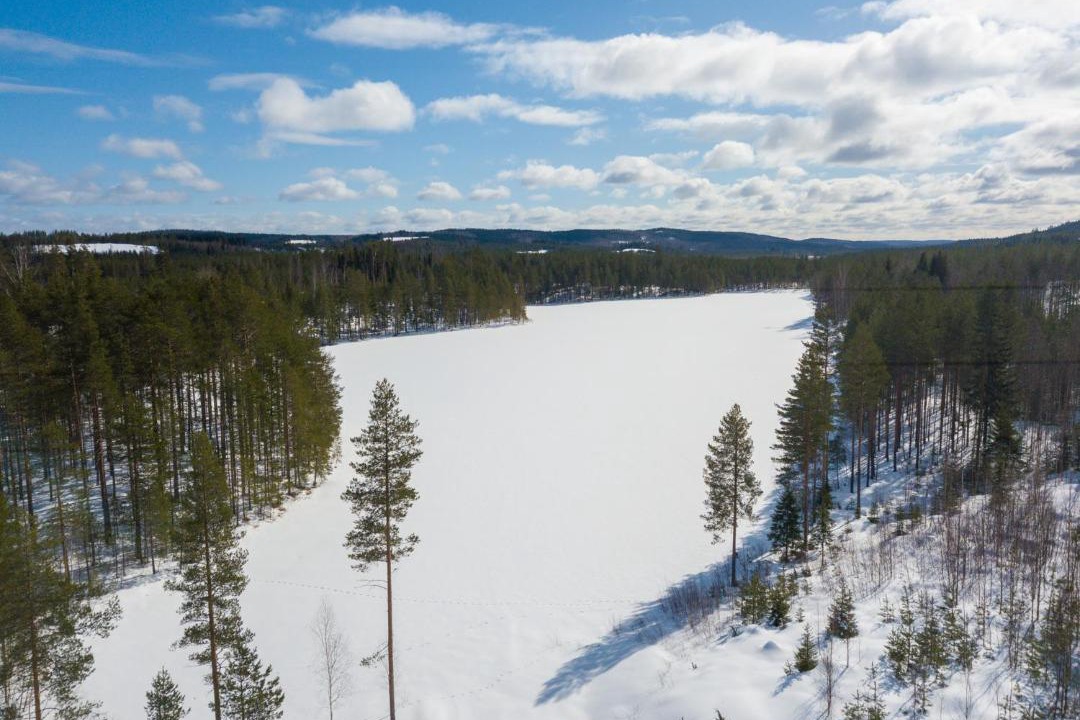 Photo of Others in Joensuu