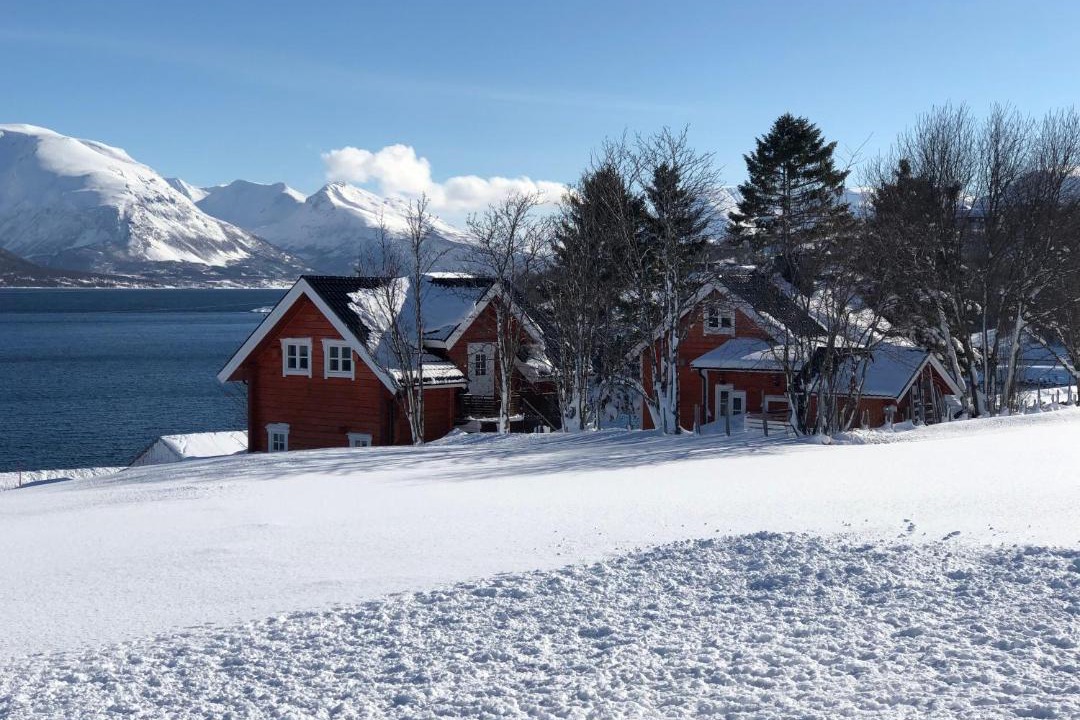Photo of Others in Lyngen
