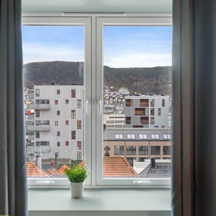 Photo of Others in Bergen City Centre