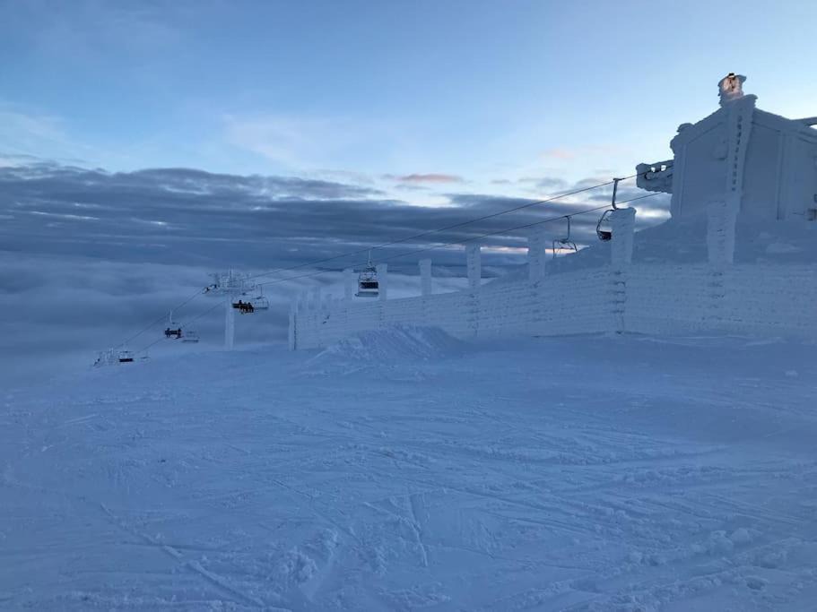 Photo of Others in Bjornange