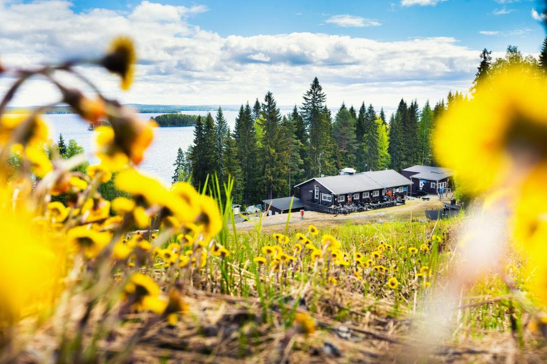 Photo of Others in Koli National Park