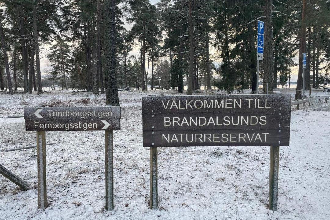 Photo of Buildings in Sodertalje Municipality