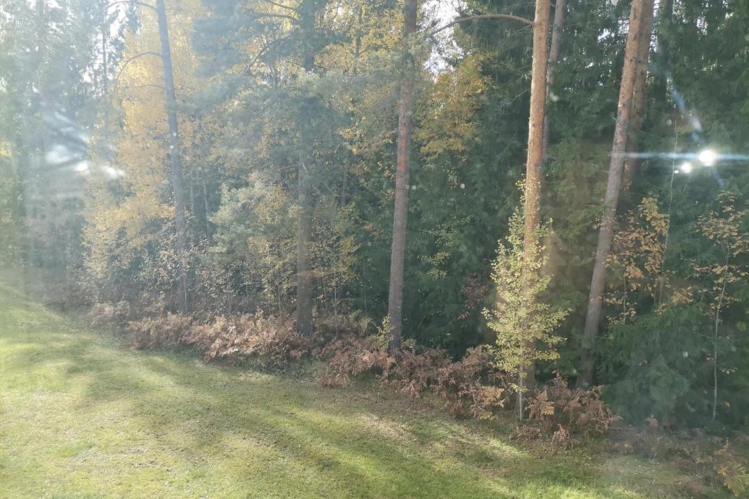 Photo of Others in Kouvola