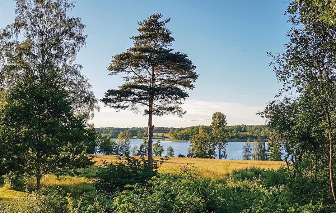 Photo of Others in Bjorkvik
