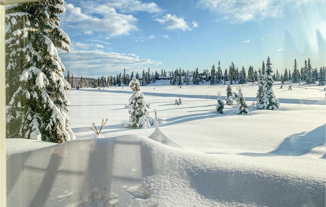 Photo of Others in Sjusjoen