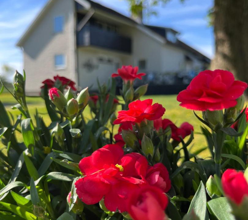 Photo of Others in Ljungby