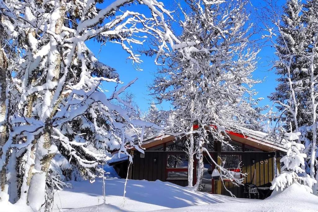 Photo of Buildings in Trysil