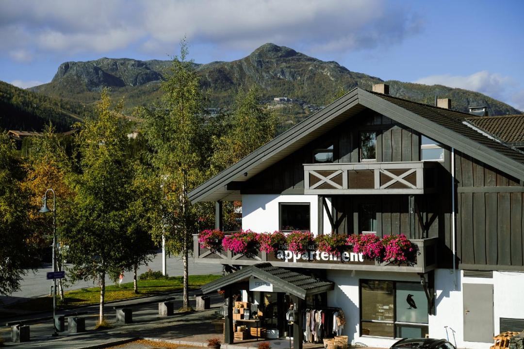 Photo of Others in Hemsedal