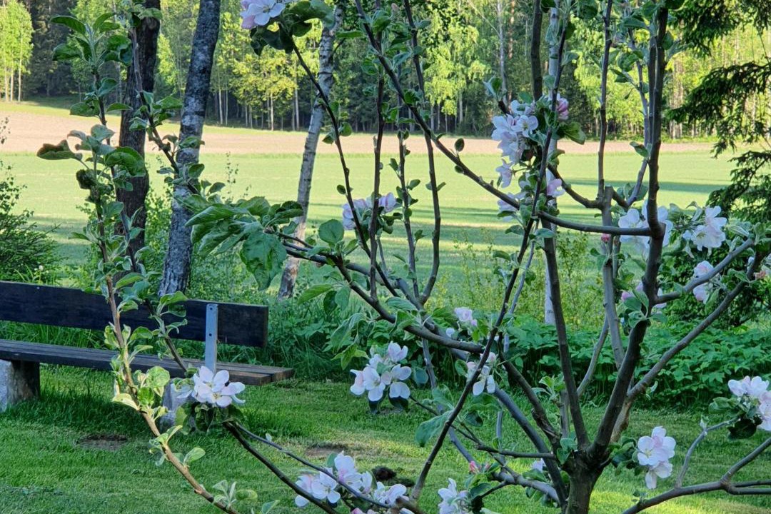 Photo of Outdoor in Hammar