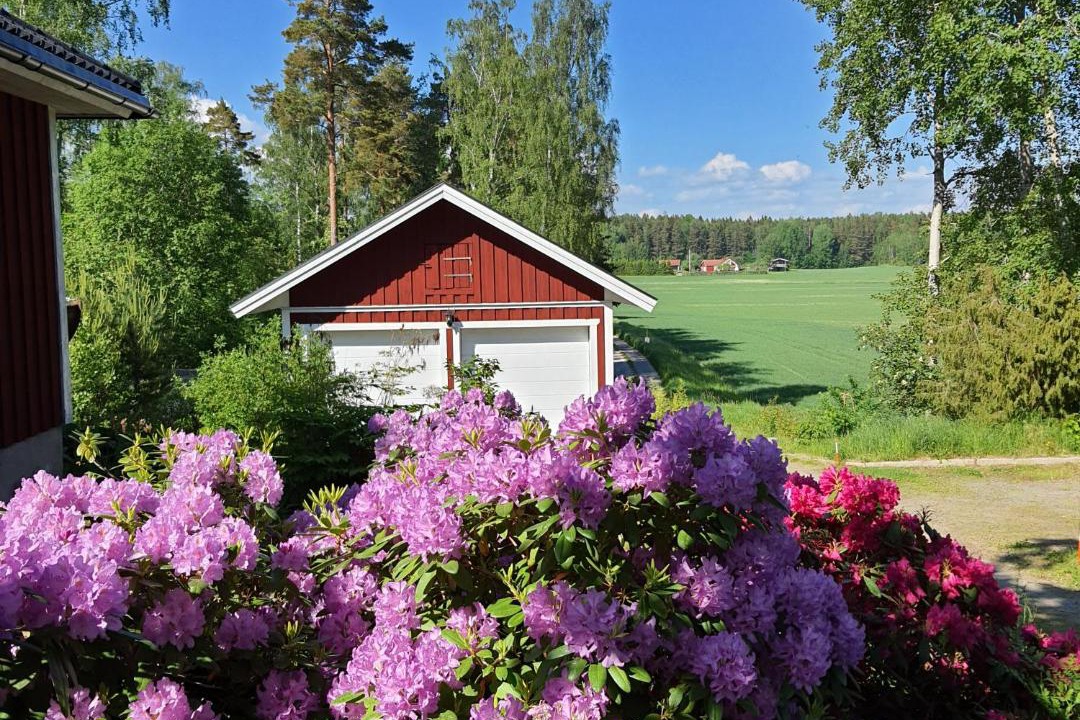 Photo of Others in Hammar