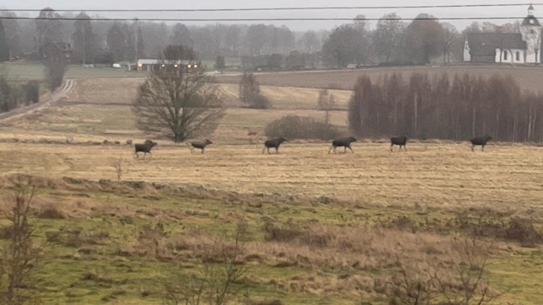 Photo of Others in Vretstorp