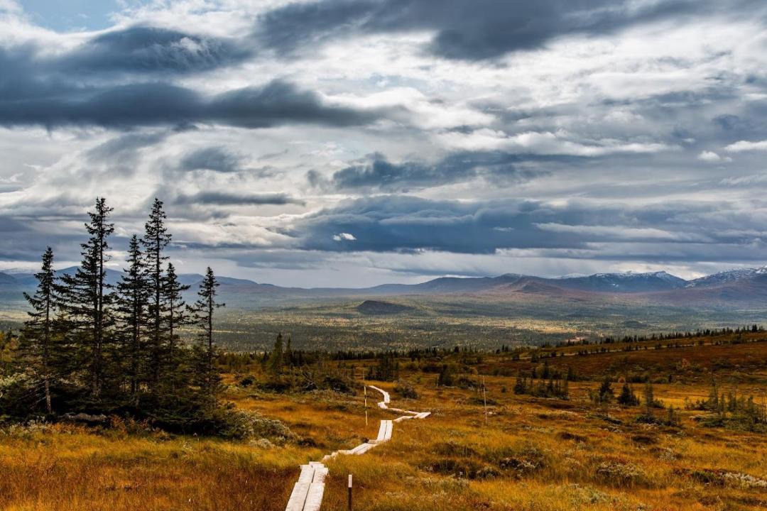 Photo of Outdoor in Valadalen