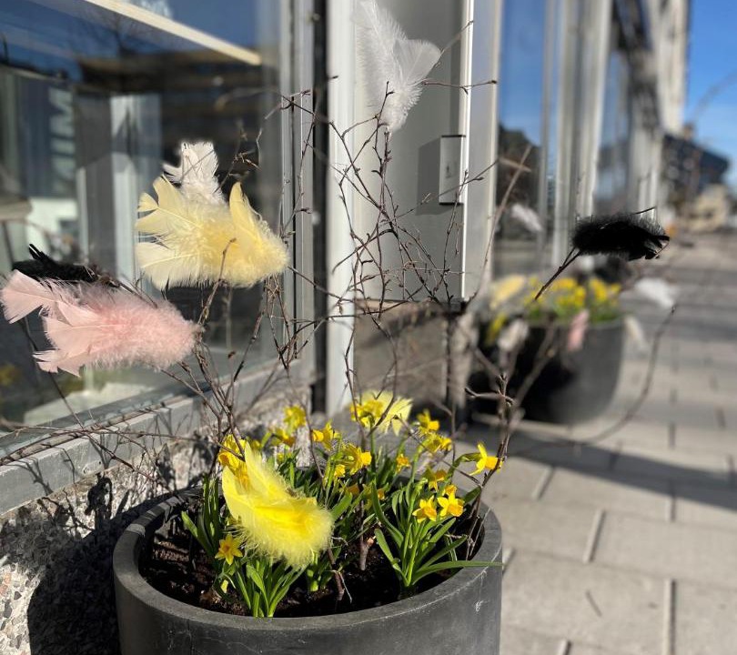 Photo of Others in Falun