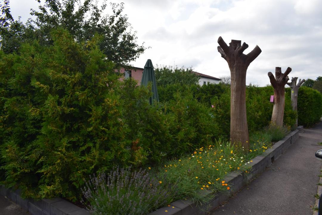 Photo of Outdoor in Halmstad