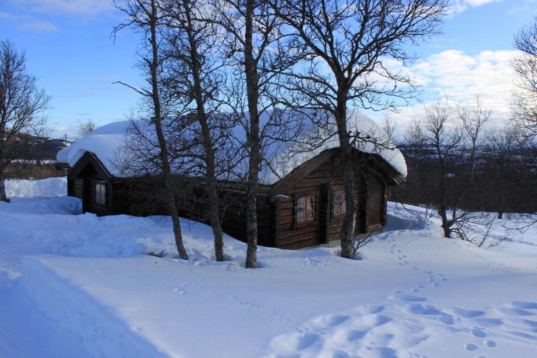 Photo of Others in Beitostolen