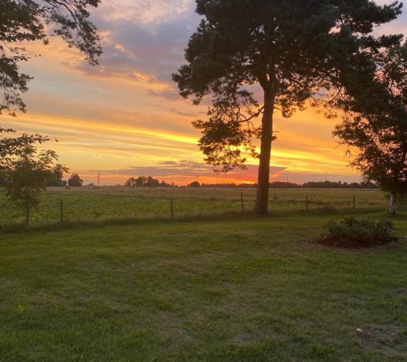 Photo of Outdoor in Laholm