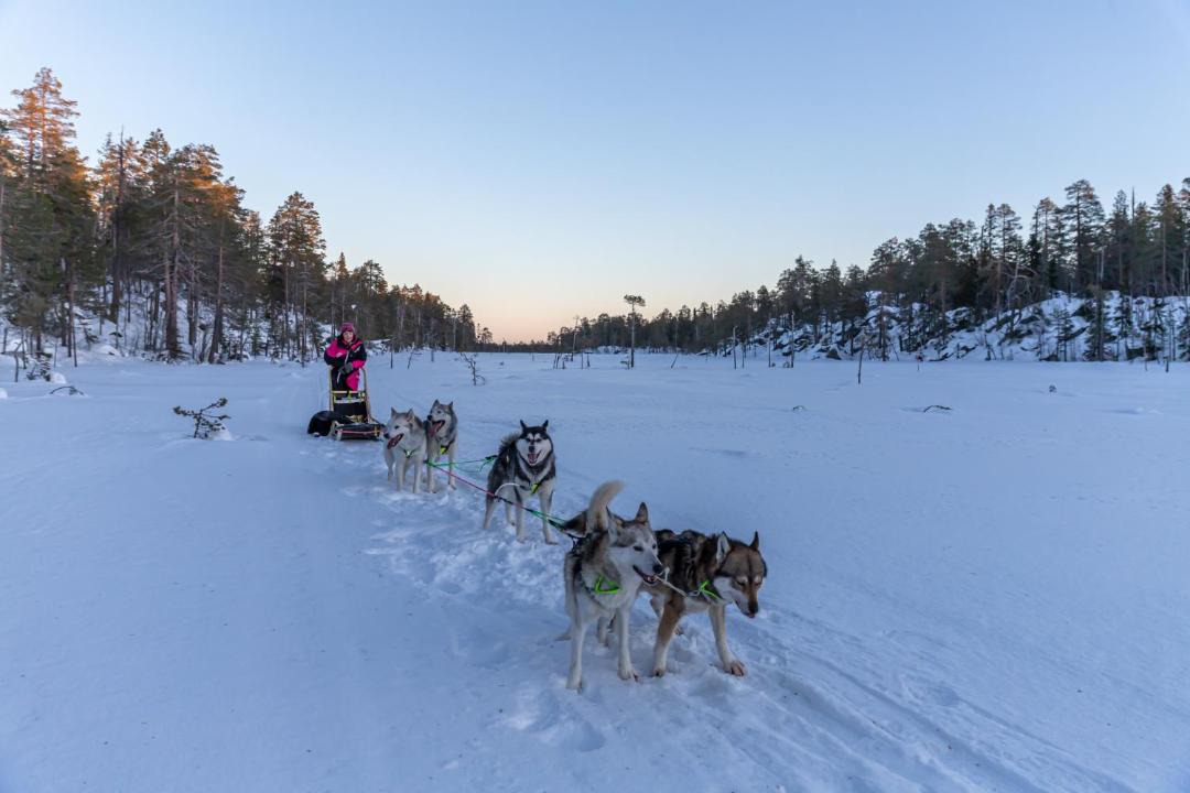 Photo of Others in Keminmaa