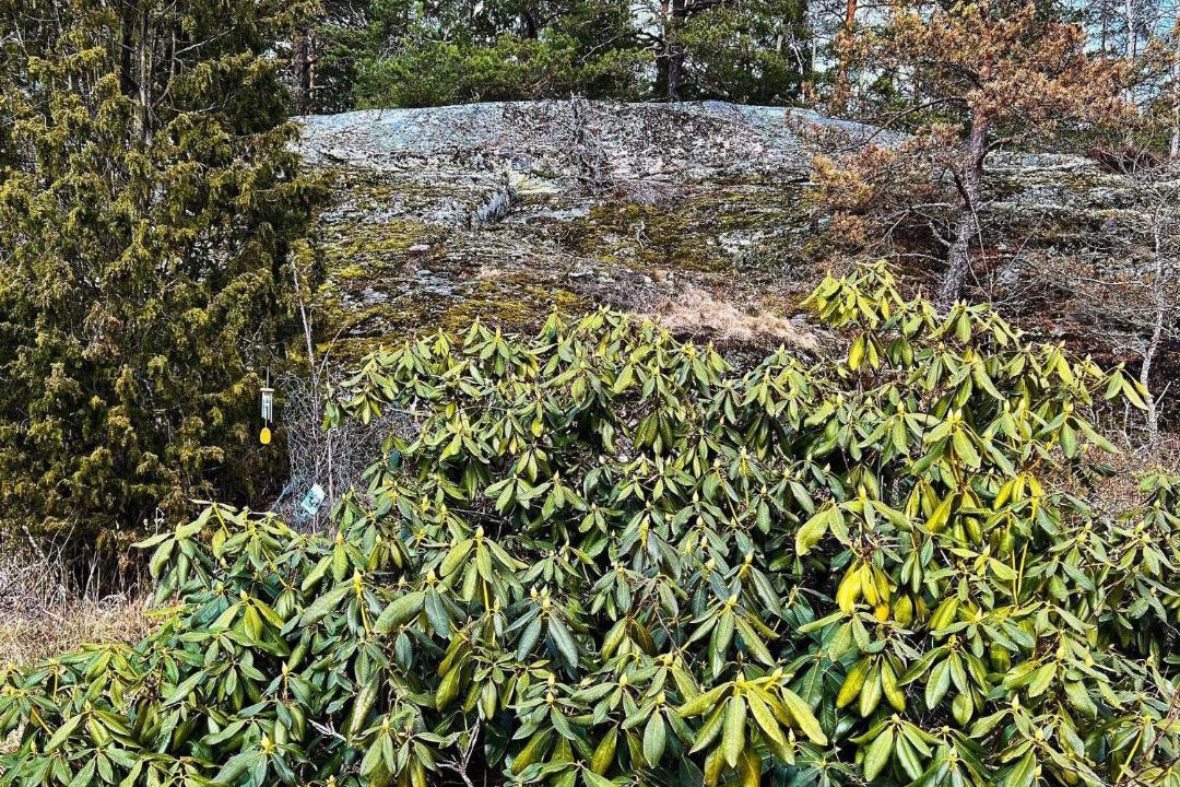 Photo of Outdoor in Tyreso O