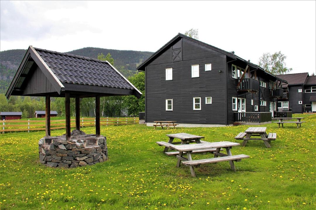 Photo of Others in Hafjell