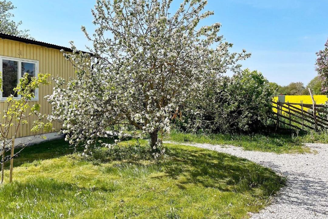 Photo of Buildings in Romakloster