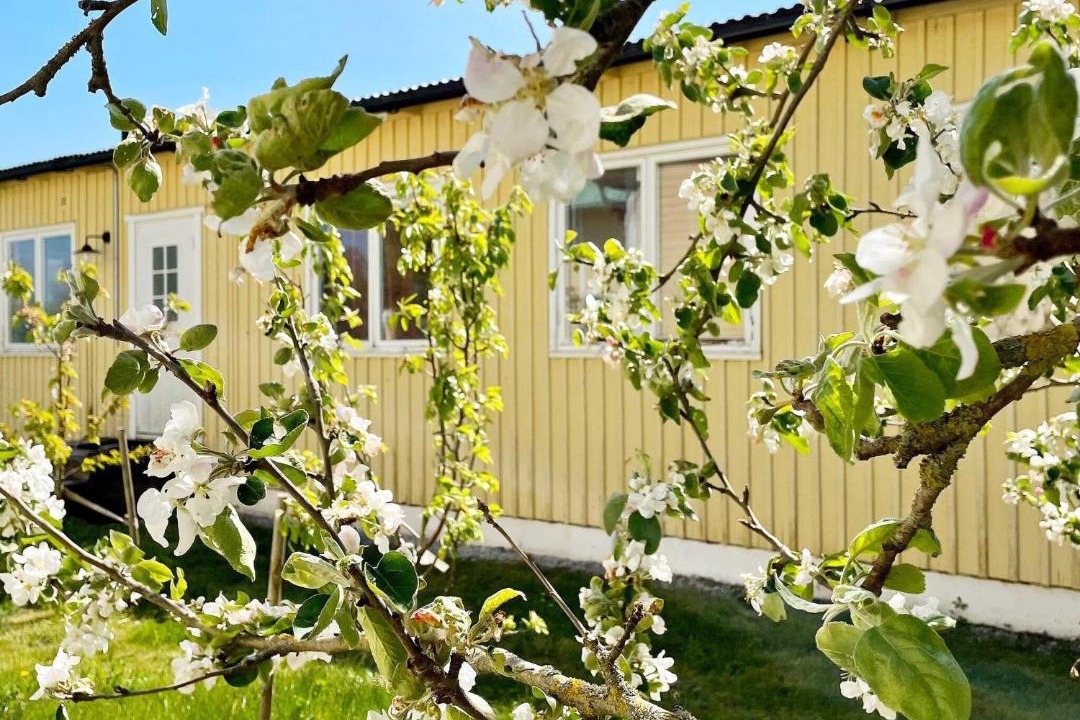 Photo of Buildings in Romakloster