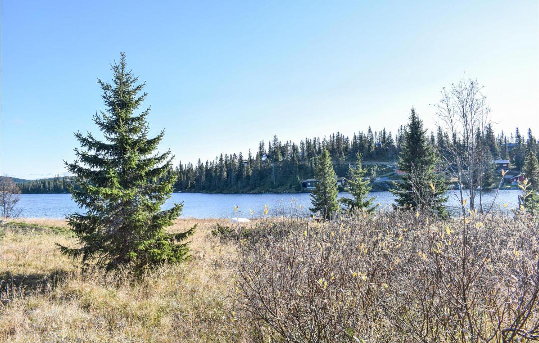 Photo of Others in Sjusjoen