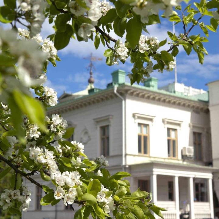 Photo of Others in Gavle