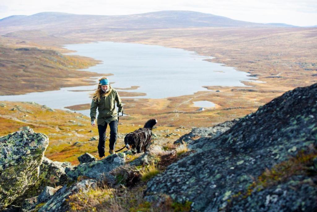 Photo of Others in Tanndalen