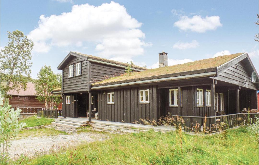 Photo of Others in Hovden