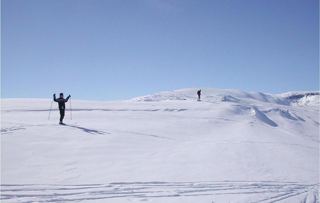 Photo of Others in Hol