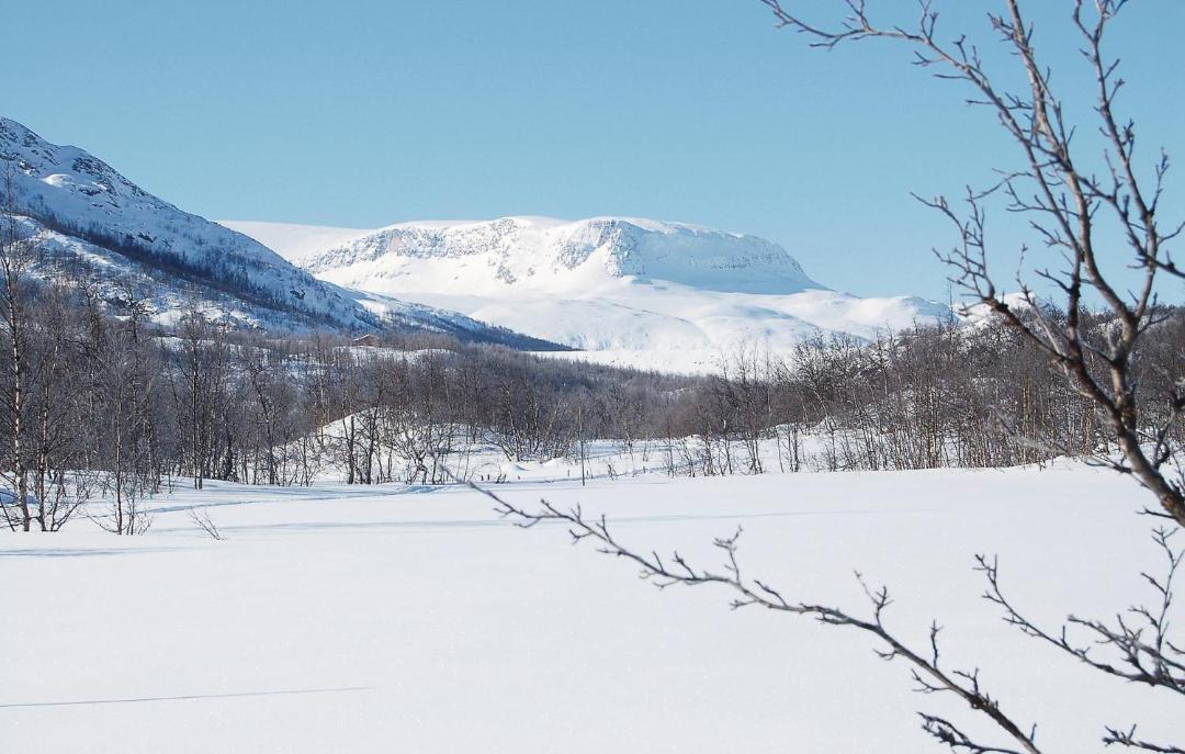 Photo of Outdoor in Hol