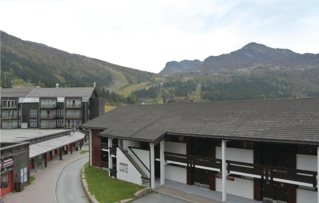 Photo of Others in Hemsedal