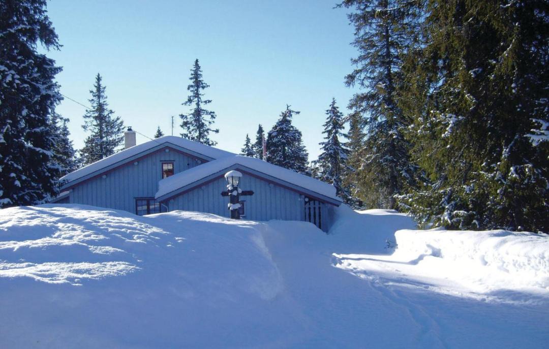 Photo of Others in Sjusjoen