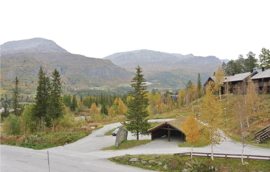Photo of Others in Hemsedal