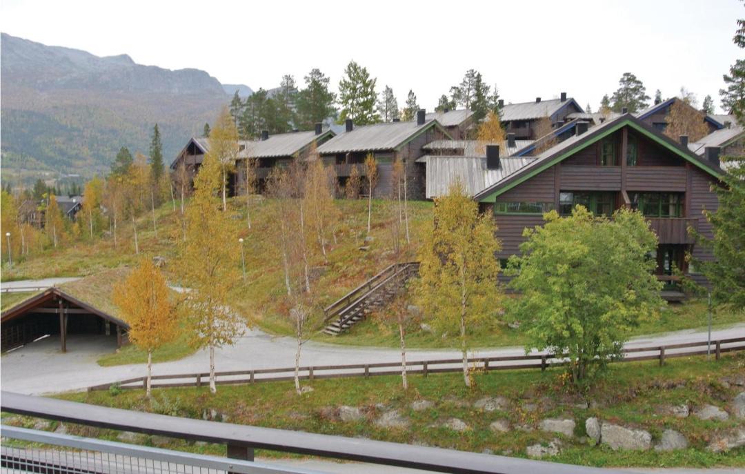 Photo of Others in Hemsedal