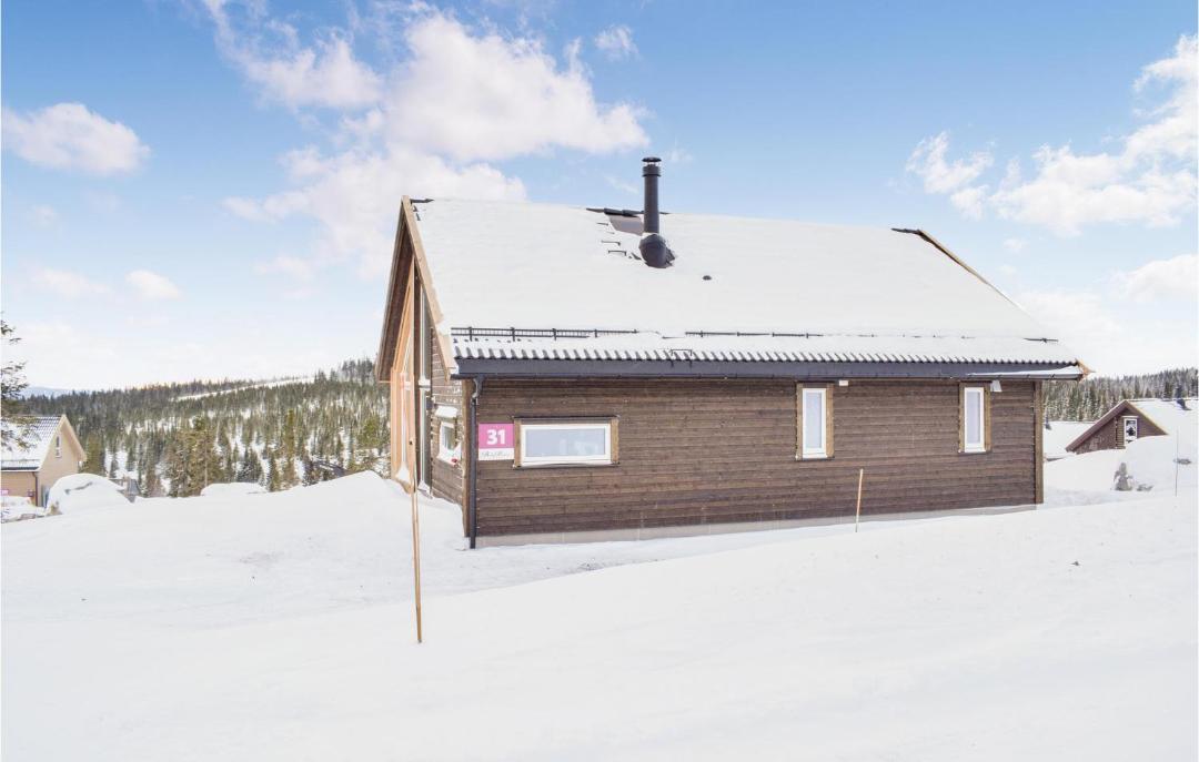 Photo of Others in Sjusjoen