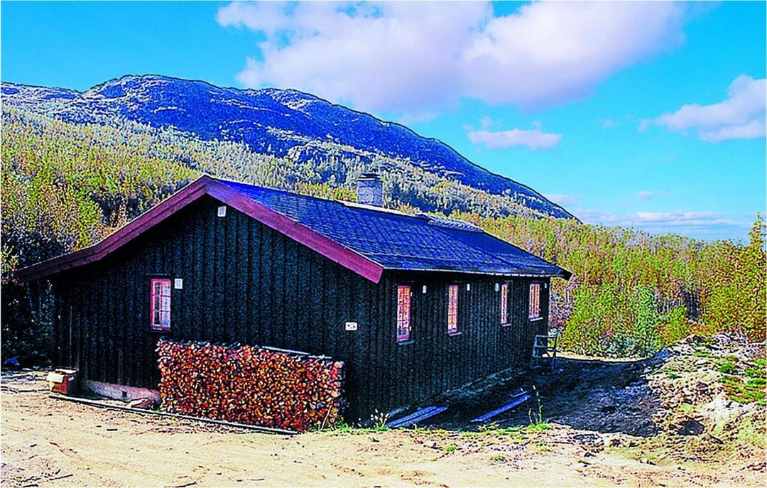 Photo of Buildings in Hol