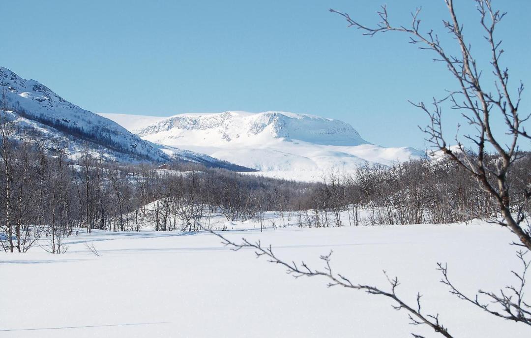 Photo of Outdoor in Hol