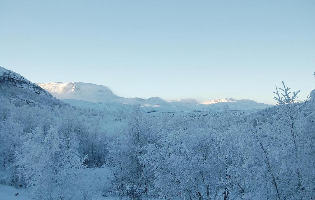 Photo of Outdoor in Hol
