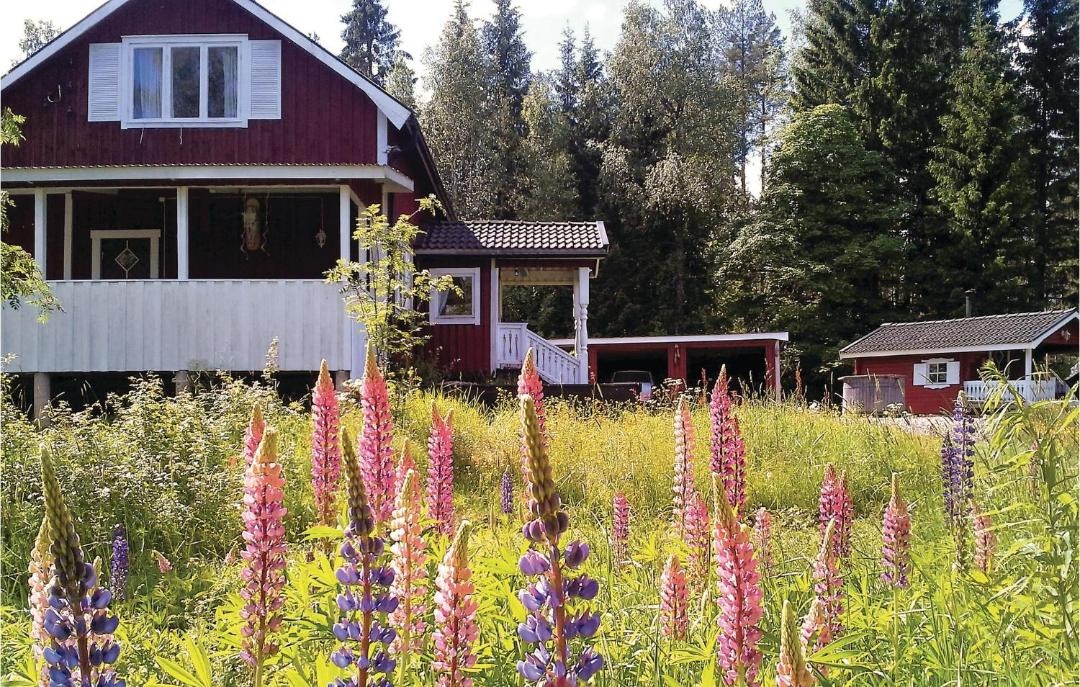 Photo of Others in Lesjofors