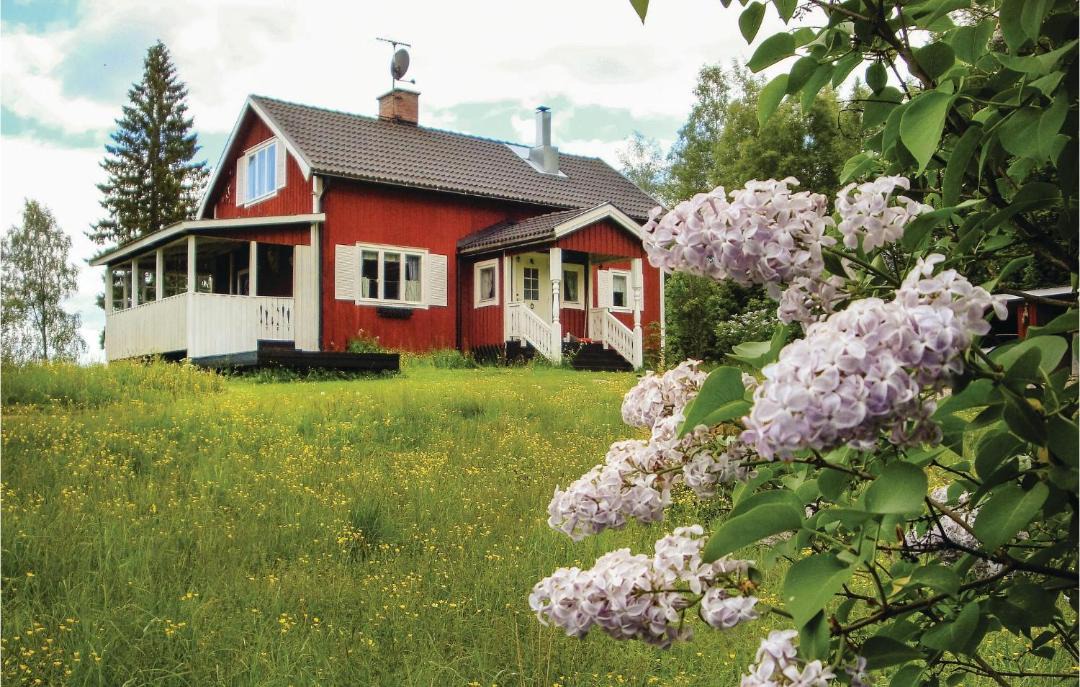 Photo of Others in Lesjofors
