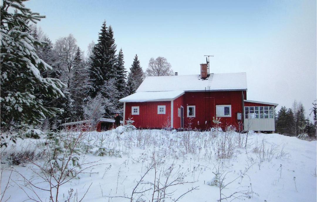 Photo of Others in Lesjofors