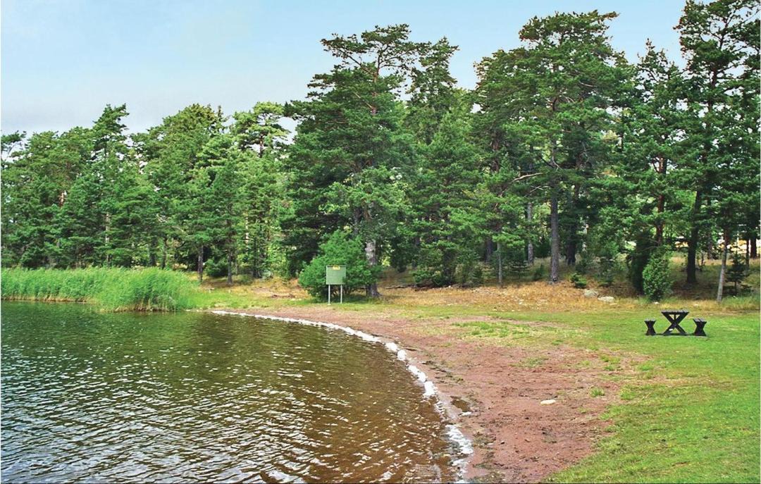 Photo of Outdoor in Monsteras