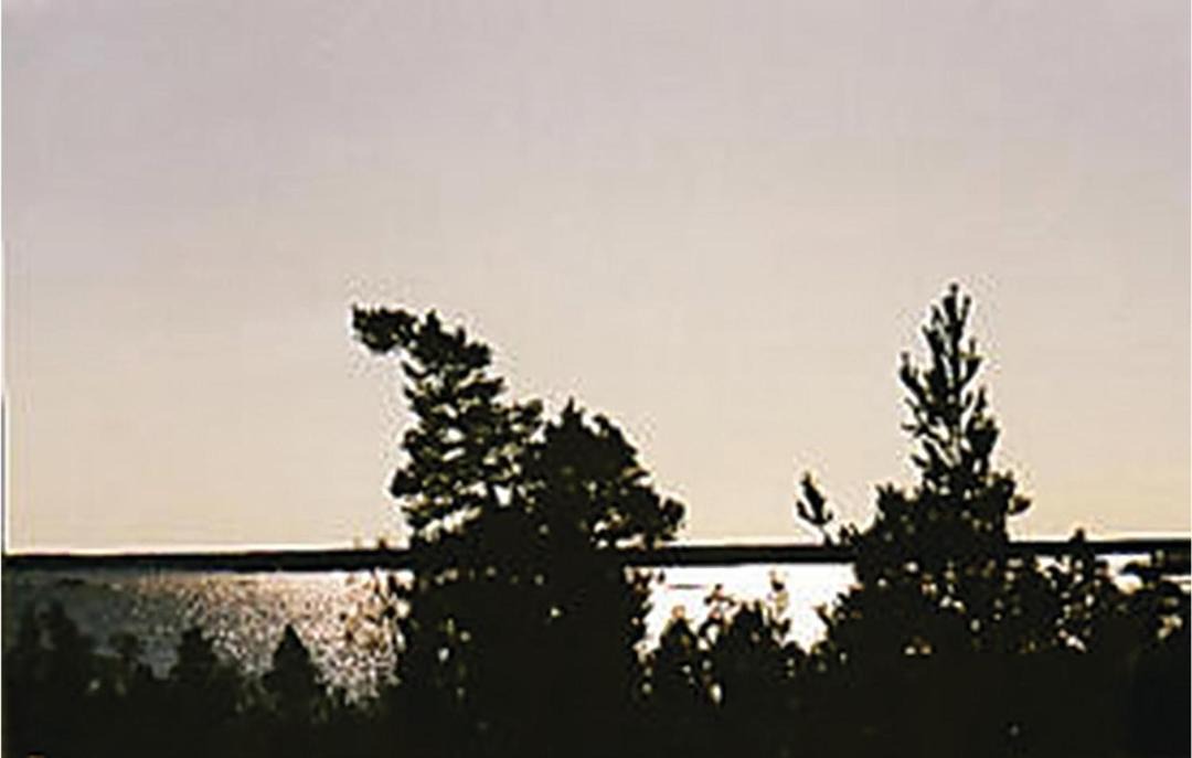 Photo of Others in Navekvarn
